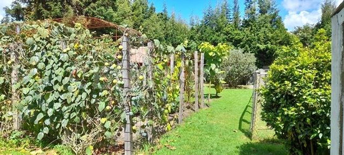 Lote en venta en El Darien, Chía, 3000 m² · foto 6 de 13