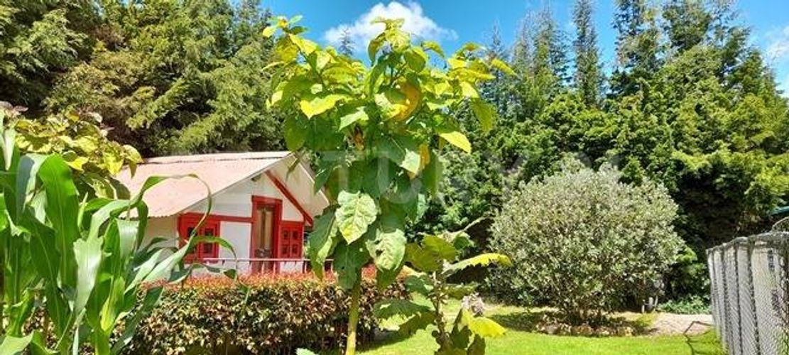 Lote en venta en El Darien, Chía, 3000 m² · foto 9 de 13