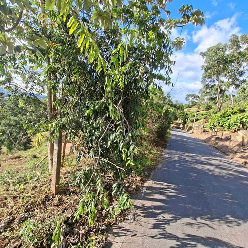 Lote en venta en Ruitoque, Piedecuesta, 9000 m² · foto 3 de 8