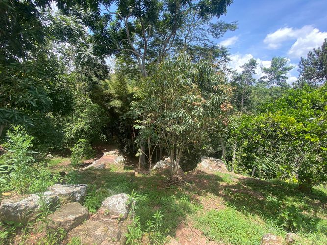 Casa de 6 alcobas en venta en Ruitoque, Floridablanca, 2000 m² · foto 8 de 11