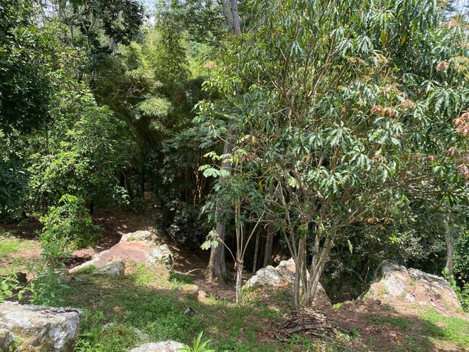 Casa de 6 alcobas en venta en Ruitoque, Floridablanca, 2000 m² · foto 9 de 11