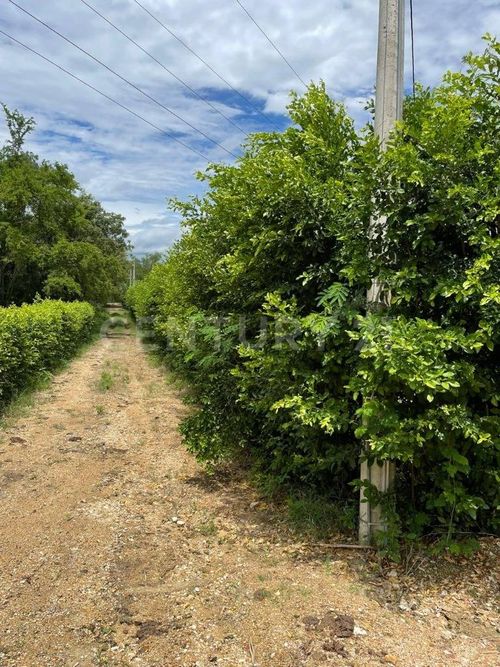 Lote en venta en Ruitoque, Ricaurte, 2204 m² · foto 5 de 6