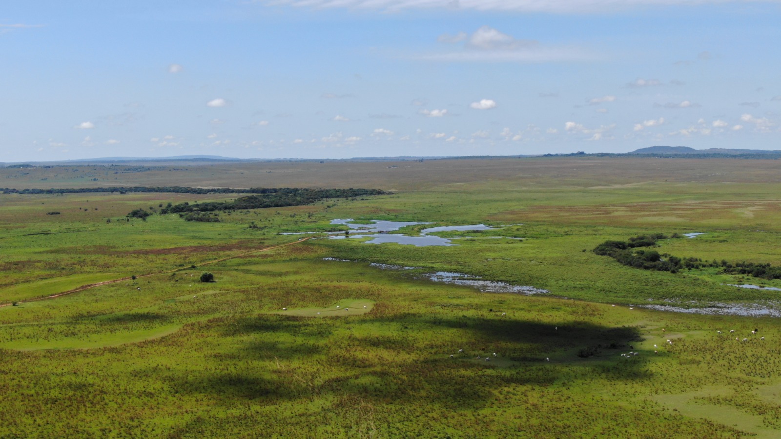 VENTA DE 120HA SOBRE RUTA QUIINDY – YBYCUI — foto 2