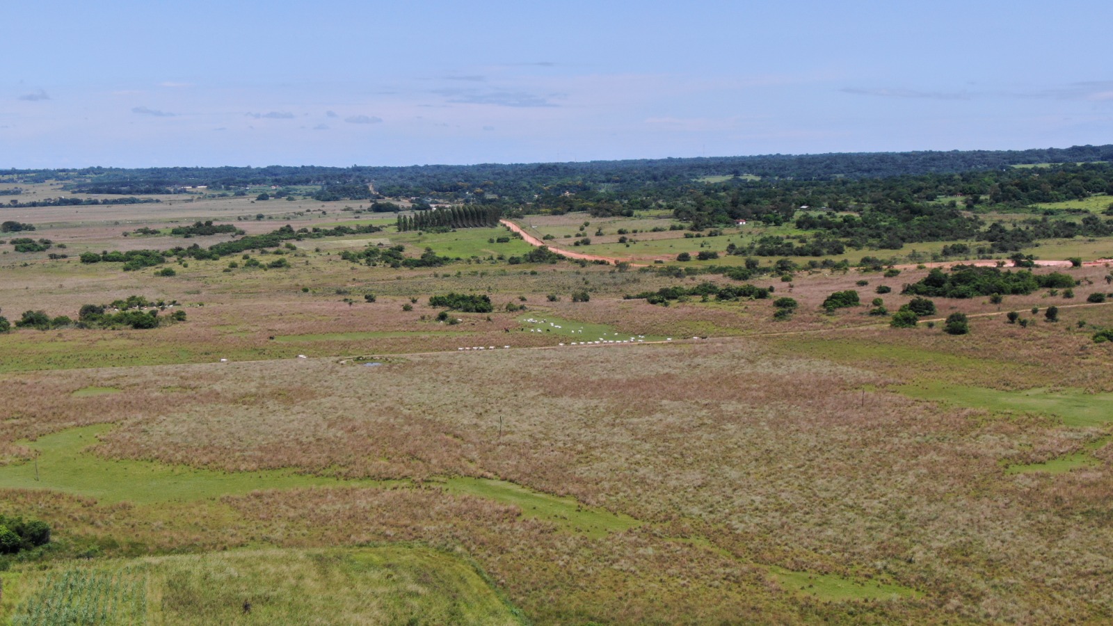 VENTA DE 120HA SOBRE RUTA QUIINDY – YBYCUI — foto 3