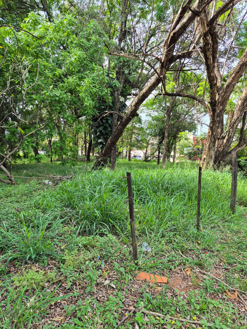VENDO AMPLIO TERRENO DE 4.028M2 EN ESQUINA EN MARIANO ROQUE ALONSO A PASOS DE LA TRANSCHACO — foto 3
