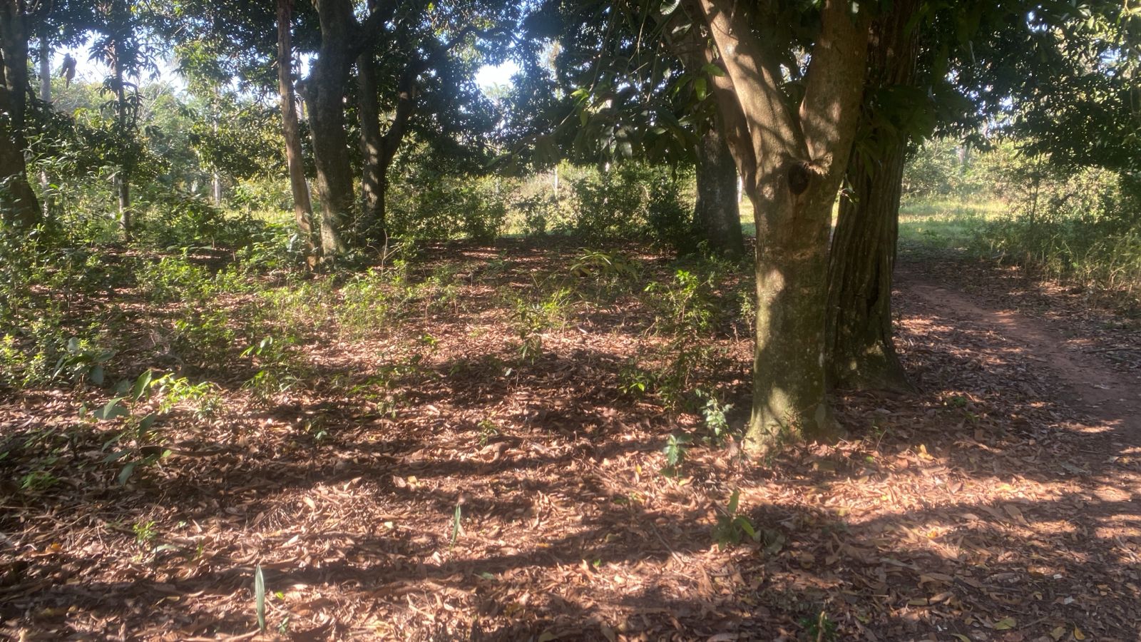 PROPIEDAD EN ALTOS, SOBRE RUTA — foto 2