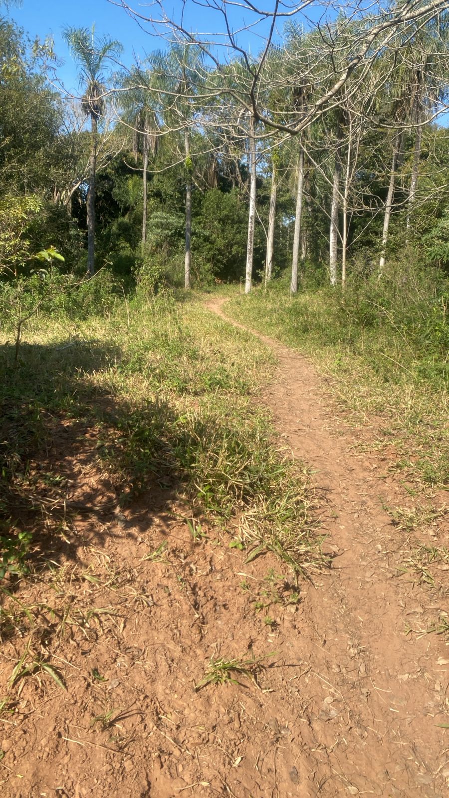PROPIEDAD EN ALTOS, SOBRE RUTA — foto 3
