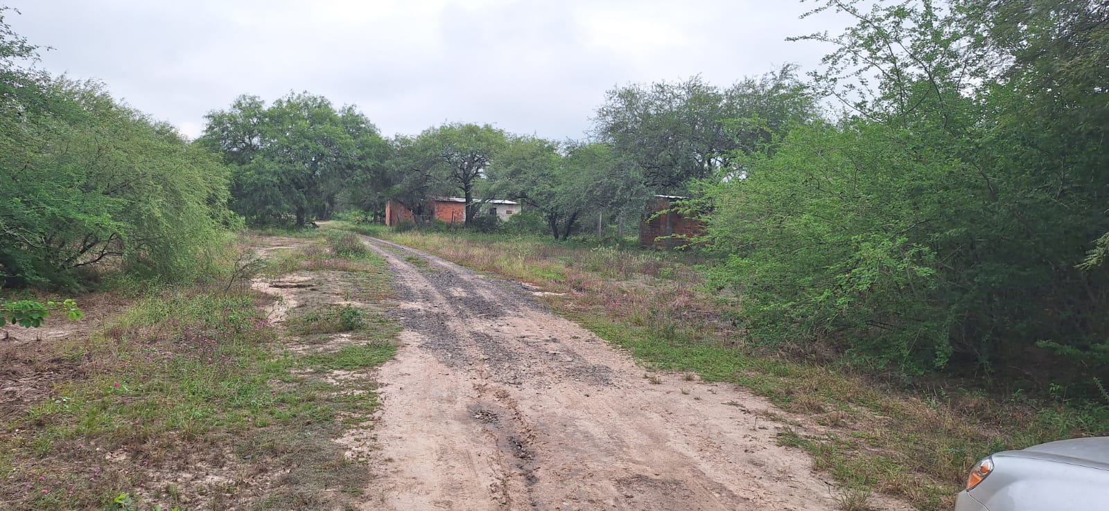 TERRENOS EN CHACOÍ- PUERTO FALCÓN — foto 3