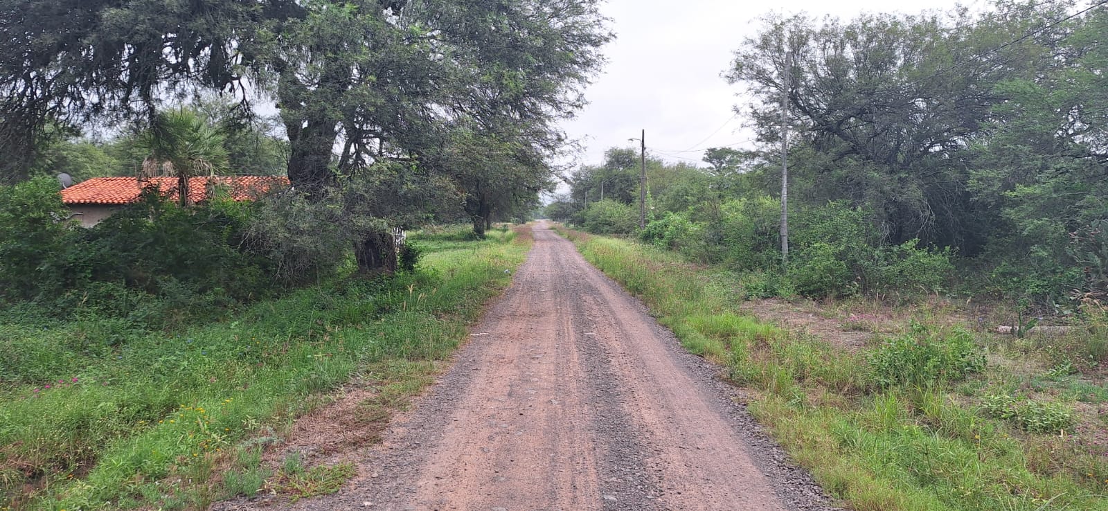 TERRENOS EN CHACOÍ- PUERTO FALCÓN — foto 2