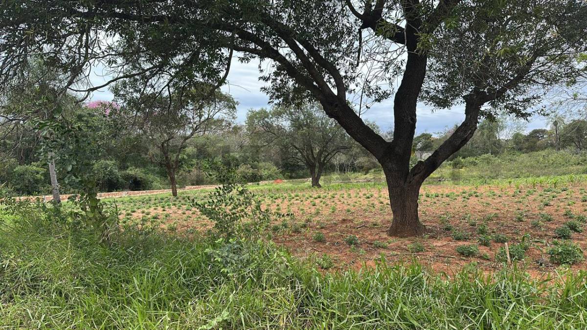 Venta de Terreno en Luque, Central — foto 2