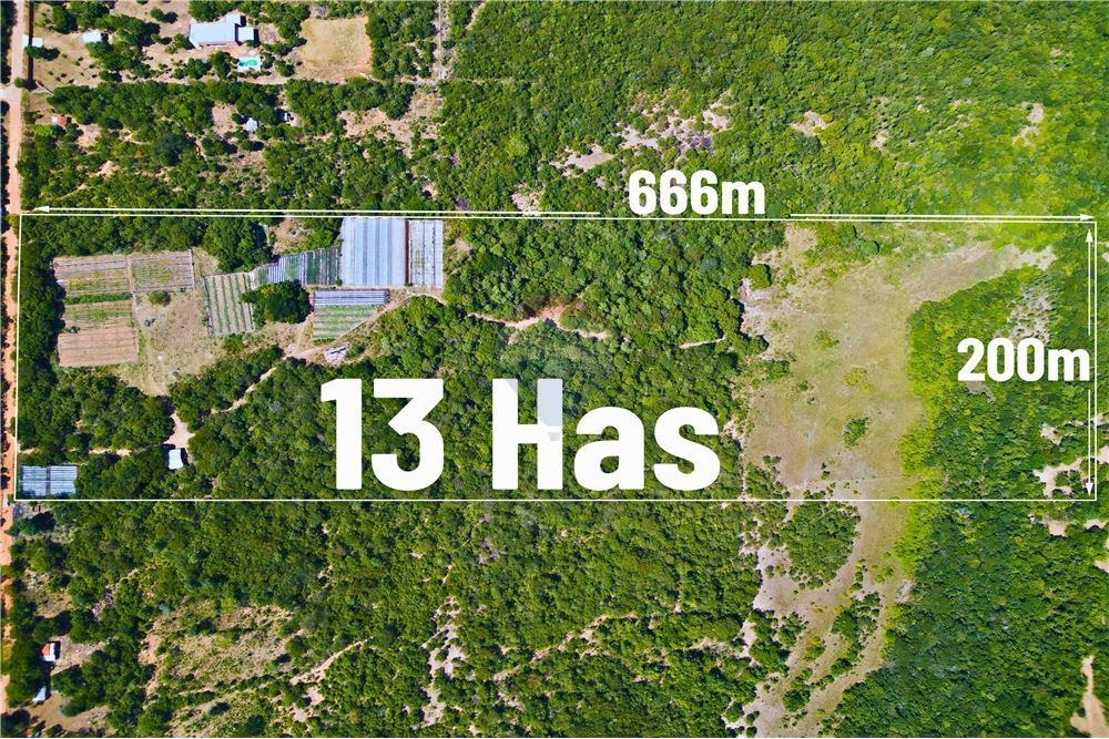 FINCA RURAL CON EXPLOTACION HORTICOLA EN VENTA — foto 2