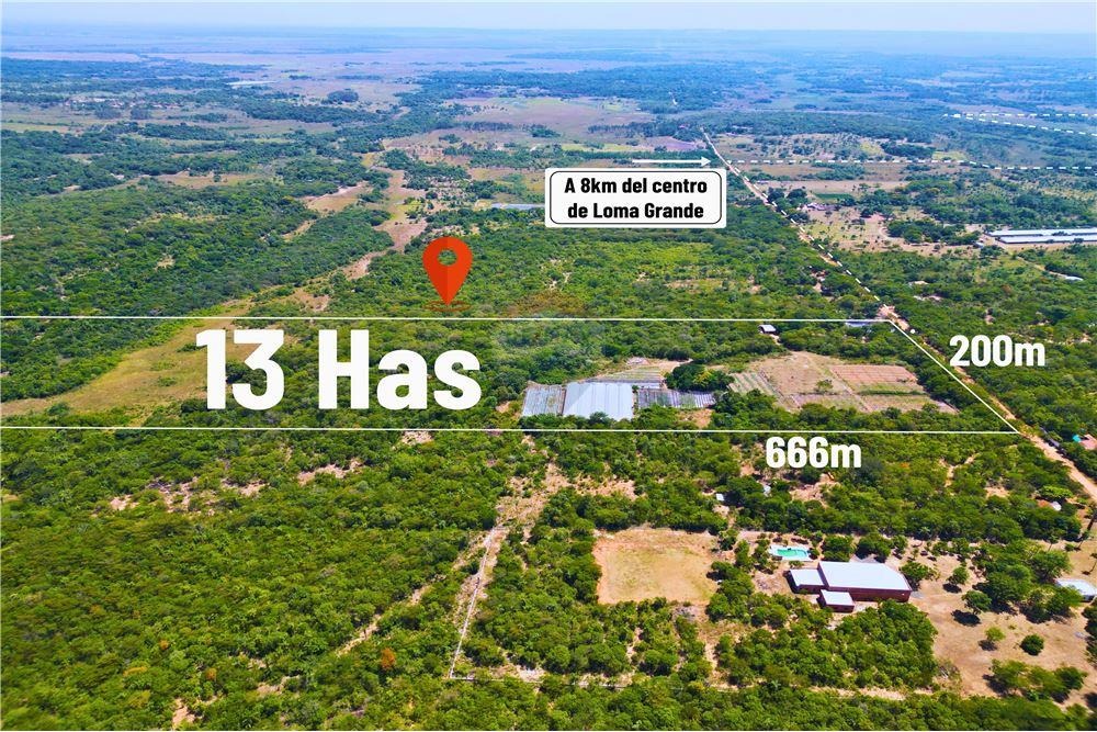 FINCA RURAL CON EXPLOTACION HORTICOLA EN VENTA — foto 3