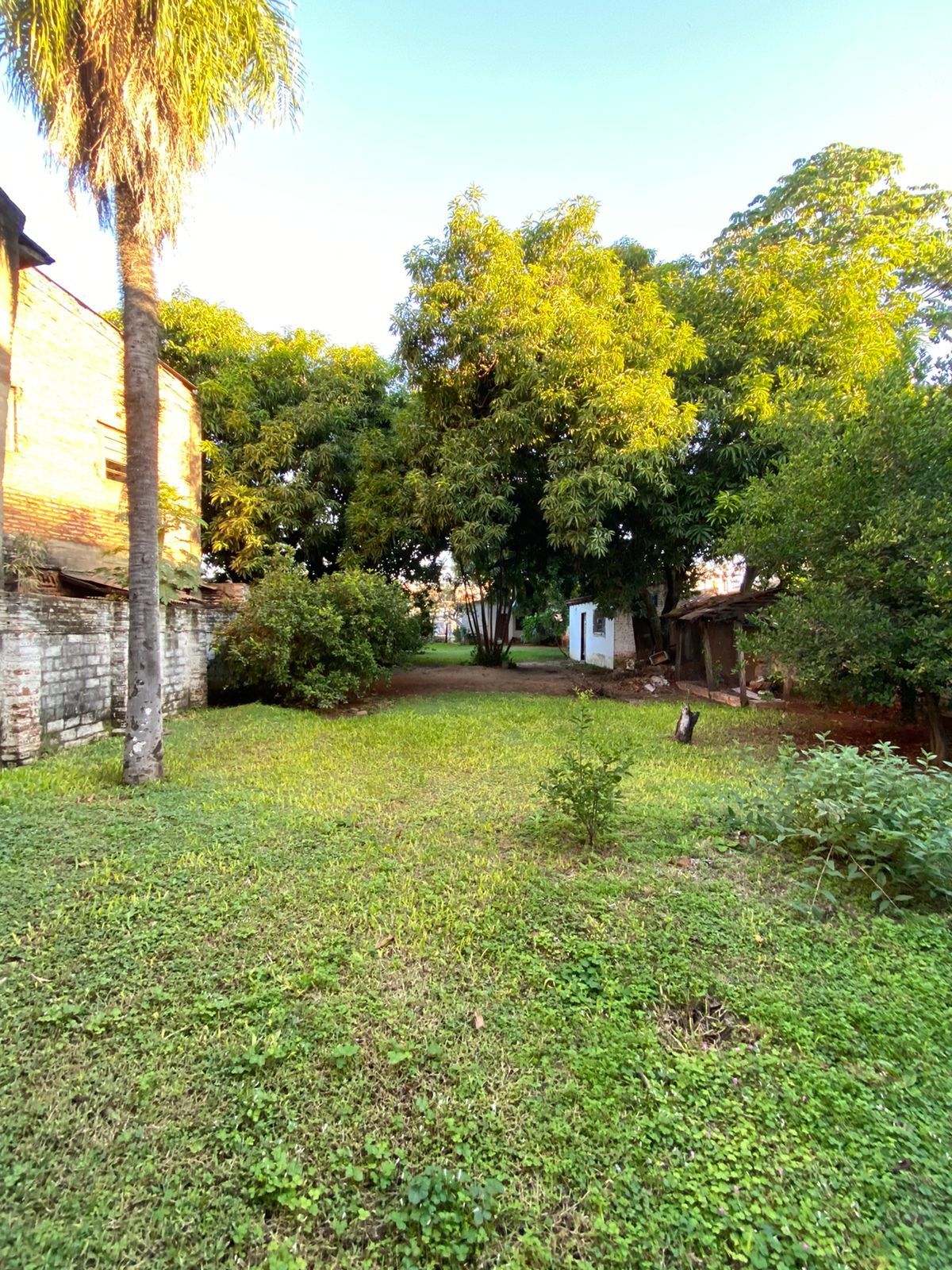 EXCLUSIVO TERRENO SOBRE AVDA. LILLO — foto 2