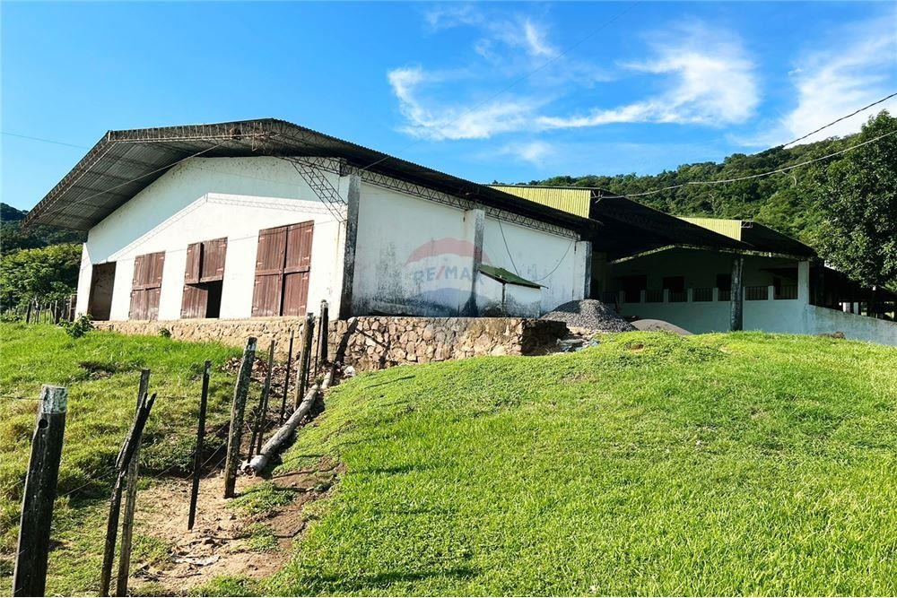ESTANCIA DE 100 HECTARÉAS EN VENTA - YBYCUÍ — foto 3