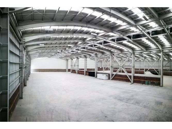 Bodega en arriendo en Parque Industrial Santo Domingo, Madrid, 4654 m² · foto 4 de 19
