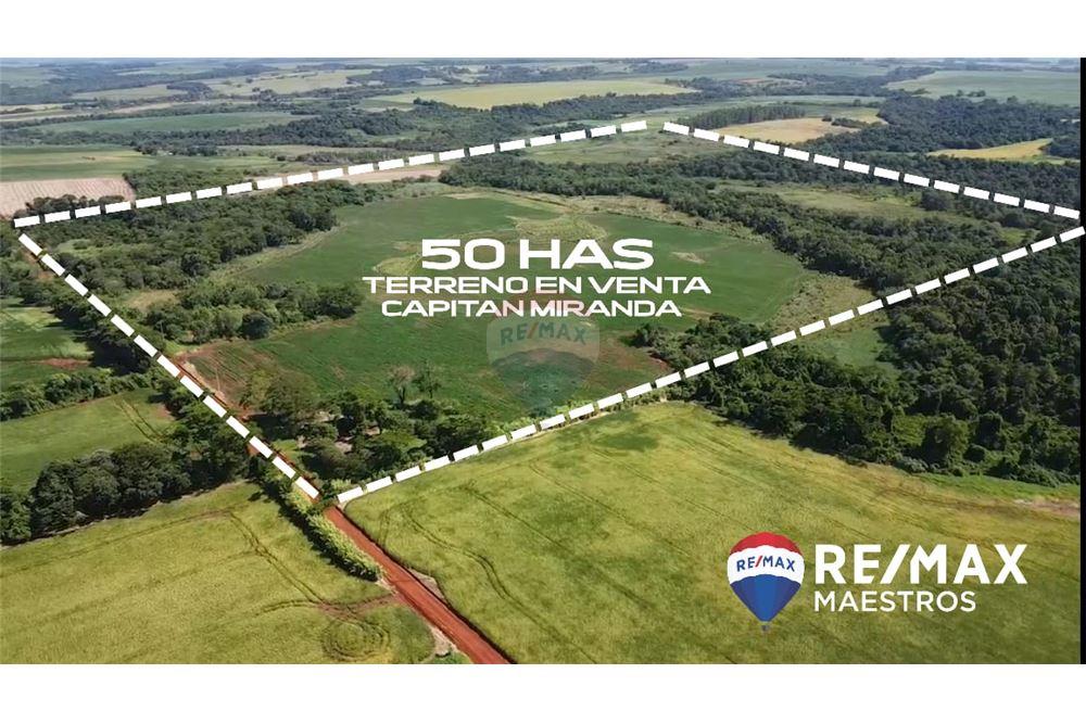 VENDO 50 HECTAREAS EN CAPITAN MIRANDA — foto 2