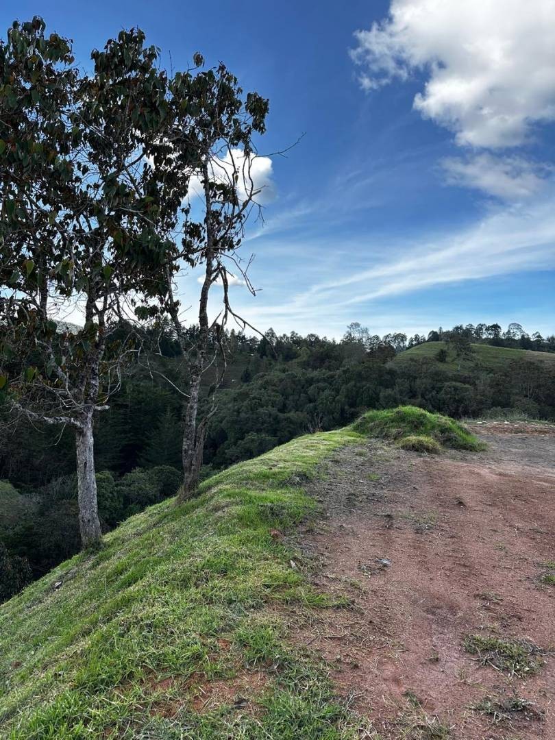 Land in Pantanillo for Sale - 2