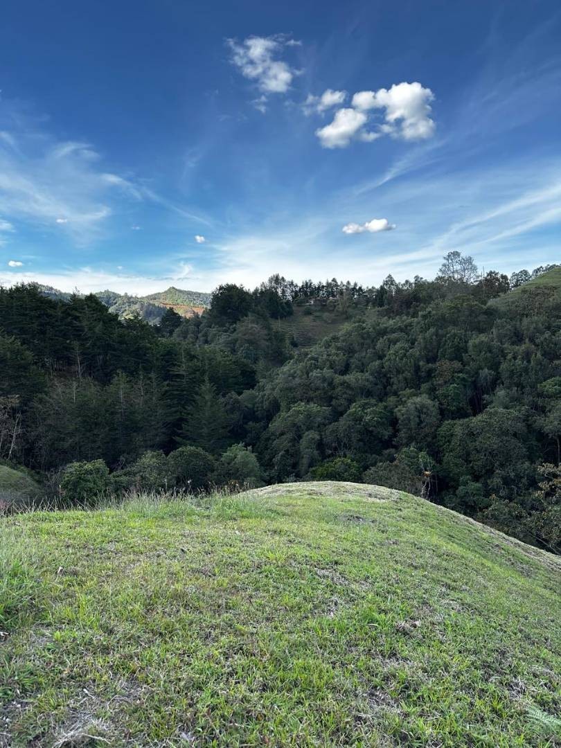 Land in Pantanillo for Sale - 3