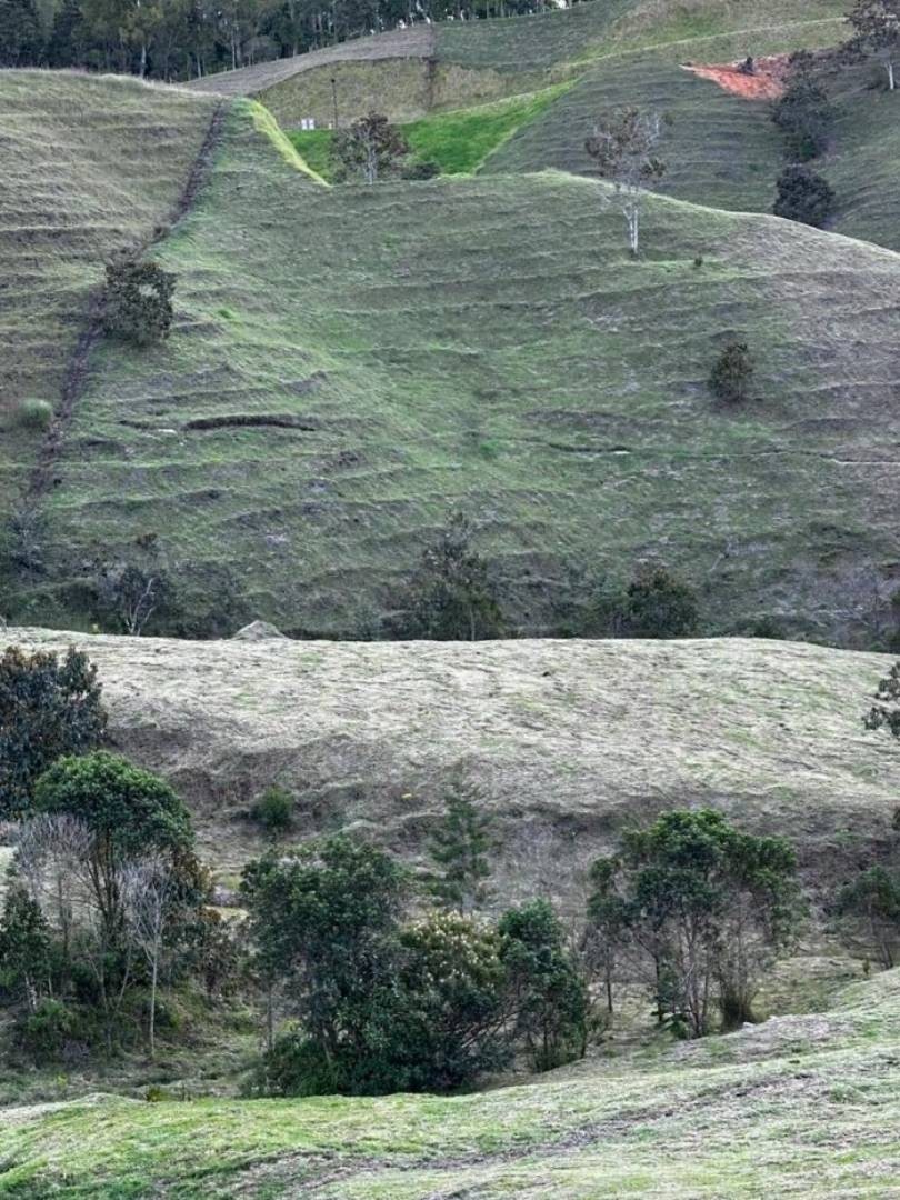 Land in Pantanillo for Sale - 4