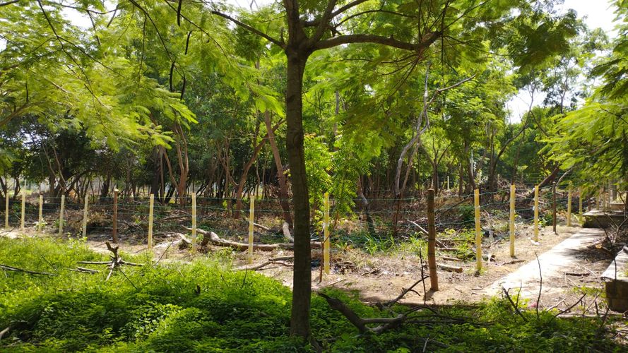 Lote en venta en Portal De Genovés, Barranquilla, 10000 m² · foto 4 de 9