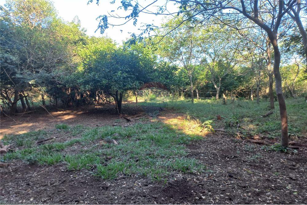 VENDO 54 HECTAREAS EN CORONEL BOGADO — foto 2