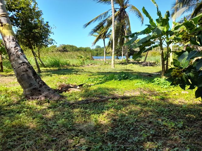Lote en venta en Arroyo Grande, Cartagena · foto 5 de 7