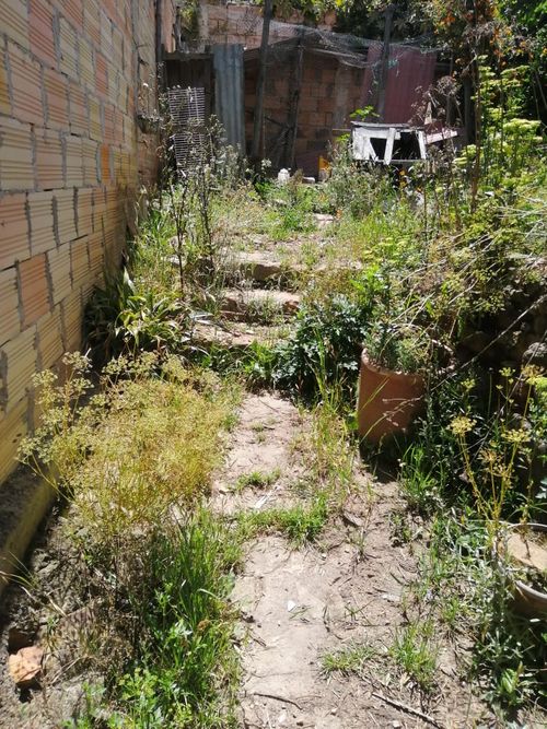 Casa de 5 alcobas en venta en Las Nieves, Tunja, 413 m² · foto 20 de 22