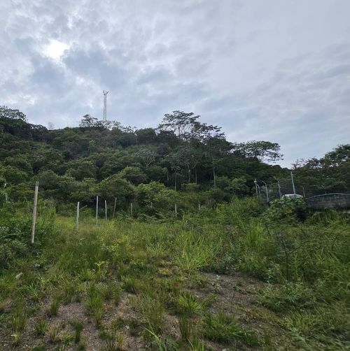 Lote en venta en Sector Cañaveralejo Guadalupe, Cali, 991 m² · foto 4 de 13