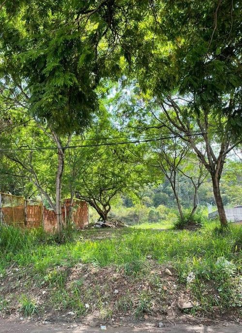 Lote en venta en Sector Cañaveralejo Guadalupe, Cali, 991 m² · foto 7 de 13