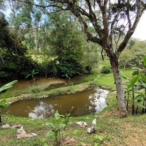Casa de 5 alcobas en venta en Guapante, Guarne · foto 22 de 24