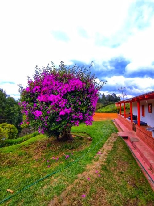 Casa de 4 alcobas en venta en Guarne · foto 17 de 21