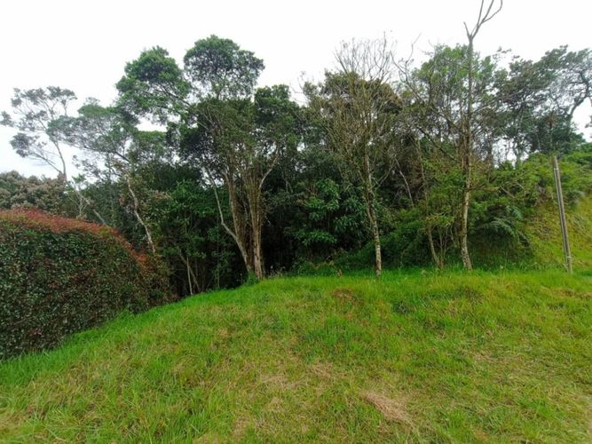 Lote en venta en Pantanillo, Envigado, 3648 m² · foto 10 de 11