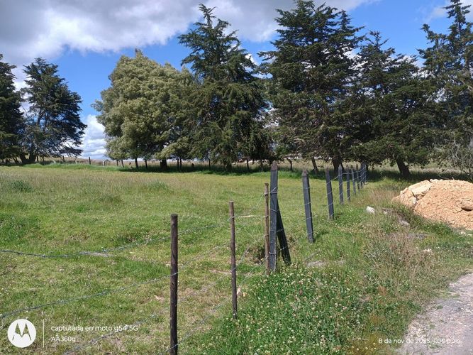 Lote en venta en Altamar, La Calera, 2100 m² · foto 12 de 13
