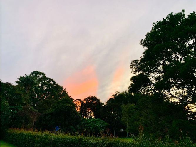 Finca en venta en Llano Grande, Rionegro, 510 m² · foto 2 de 23