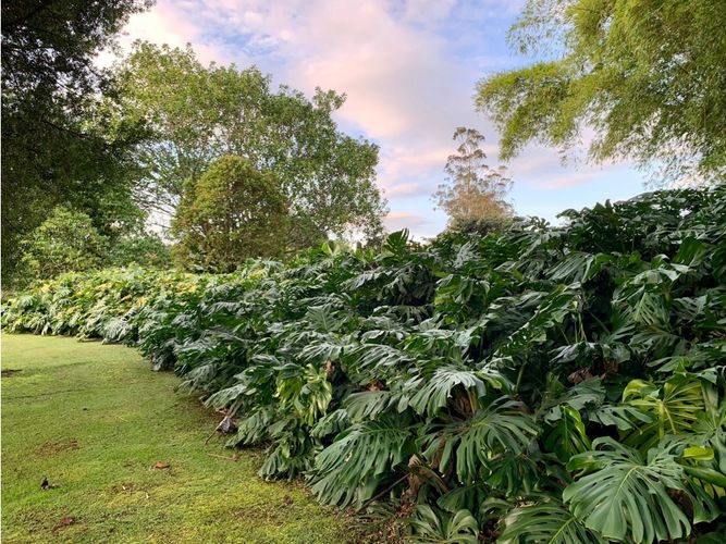 Finca en venta en Llano Grande, Rionegro, 510 m² · foto 9 de 23