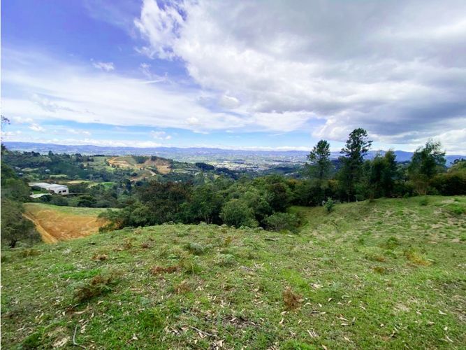 Lote en venta en Sajonia, La Ceja, 10175 m² · foto 2 de 6