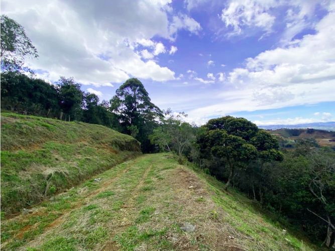 Lote en venta en Sajonia, La Ceja, 10175 m² · foto 3 de 6