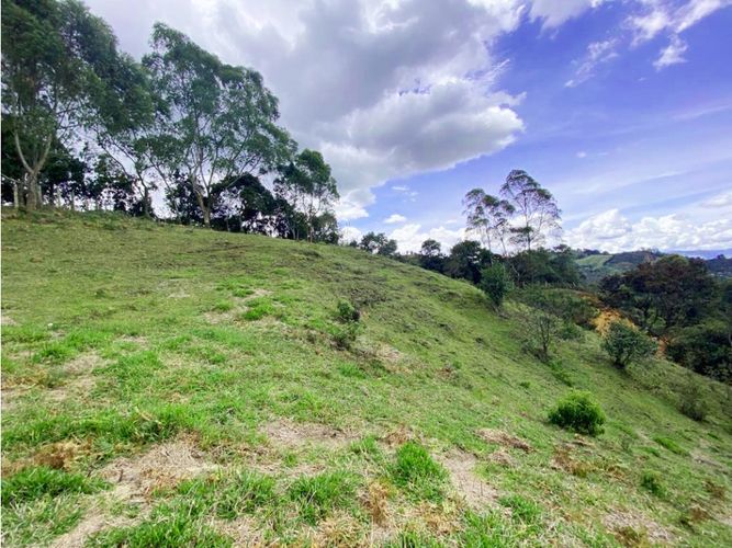 Lote en venta en Sajonia, La Ceja, 10175 m² · foto 5 de 6