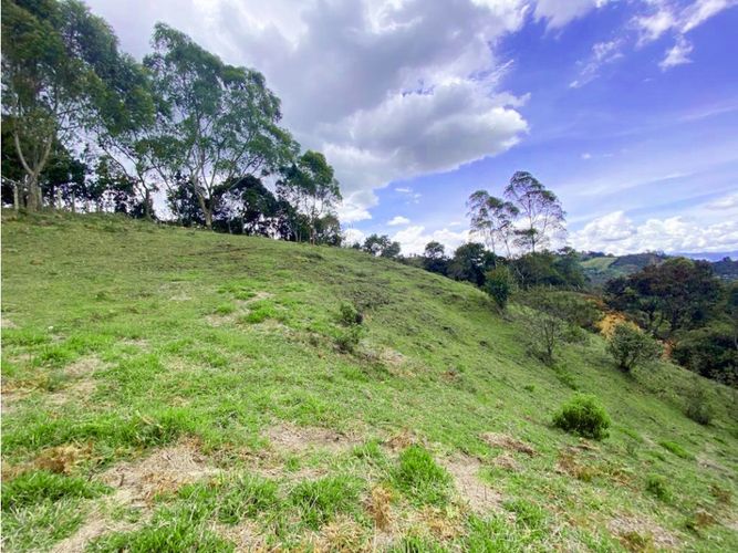 Lote en venta en Sajonia, La Ceja, 10175 m² · foto 6 de 6