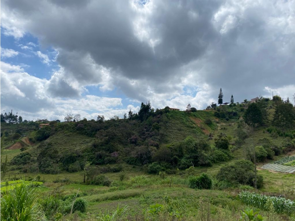 Lote en Venta en Rionegro - 3