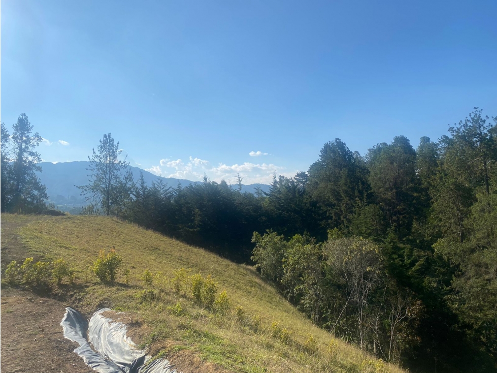Land in Santa Elena for Sale - 4
