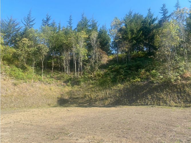 Lote en venta en Santa Elena, El Retiro, 5240 m² · foto 7 de 11