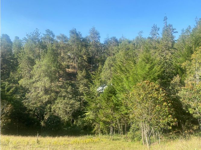 Lote en venta en Santa Elena, El Retiro, 5240 m² · foto 8 de 11