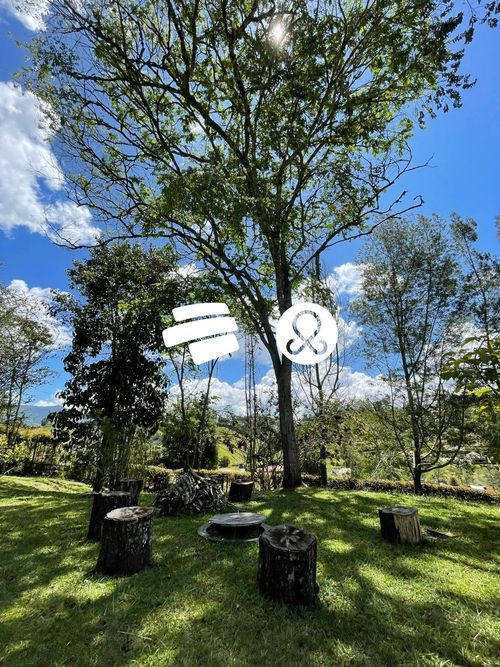 Finca en venta en El Carmen De Viboral, El Carmen de Viboral, 3400 m² · foto 21 de 23