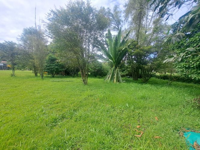 Finca en venta en El Tambo, La Ceja, 190 m² · foto 3 de 15