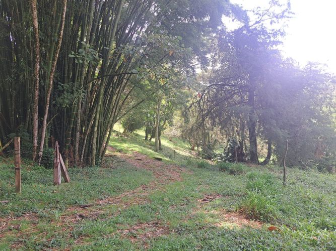 Finca en venta en Vergel, Rionegro, 150 m² · foto 2 de 12