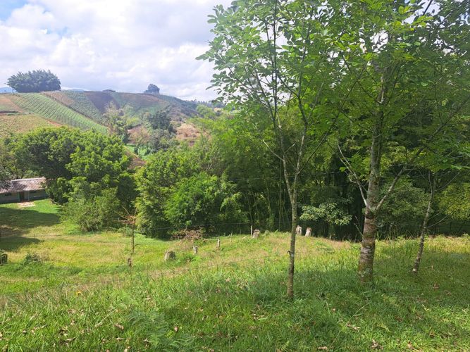 Finca en venta en Vergel, Rionegro, 150 m² · foto 4 de 12