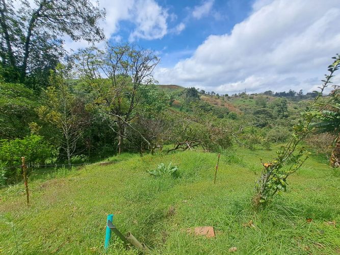 Finca en venta en Vergel, Rionegro, 150 m² · foto 6 de 12
