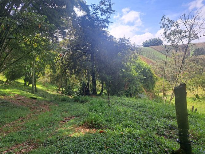 Finca en venta en Vergel, Rionegro, 150 m² · foto 7 de 12
