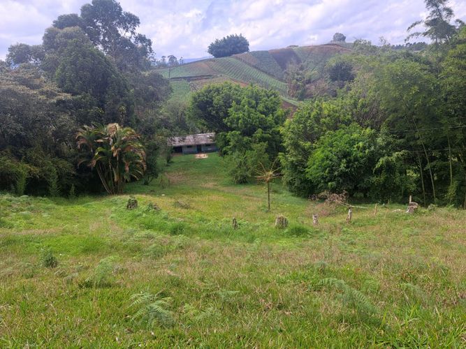 Finca en venta en Vergel, Rionegro, 150 m² · foto 8 de 12